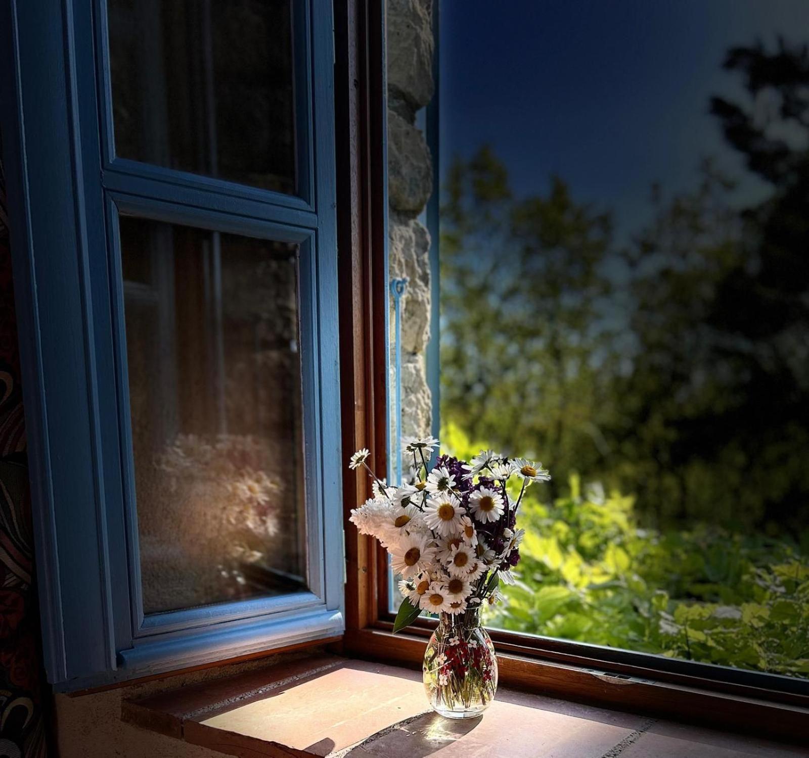 Le Clos Pastel Chambres D'Hotes & Gite Virac エクステリア 写真