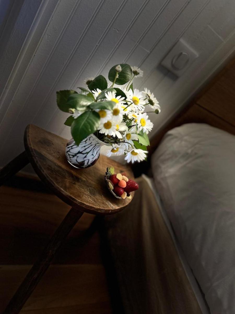Le Clos Pastel Chambres D'Hotes & Gite Virac エクステリア 写真